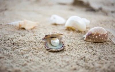 Nem az a kérdés, hova mész, hanem hogy ki vagy ott – Egy Hawaii-i utazás tanulságai