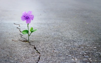 Mi van akkor, ha…?